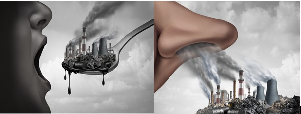 Greenhouse Gases, Climate Change and Ill Health